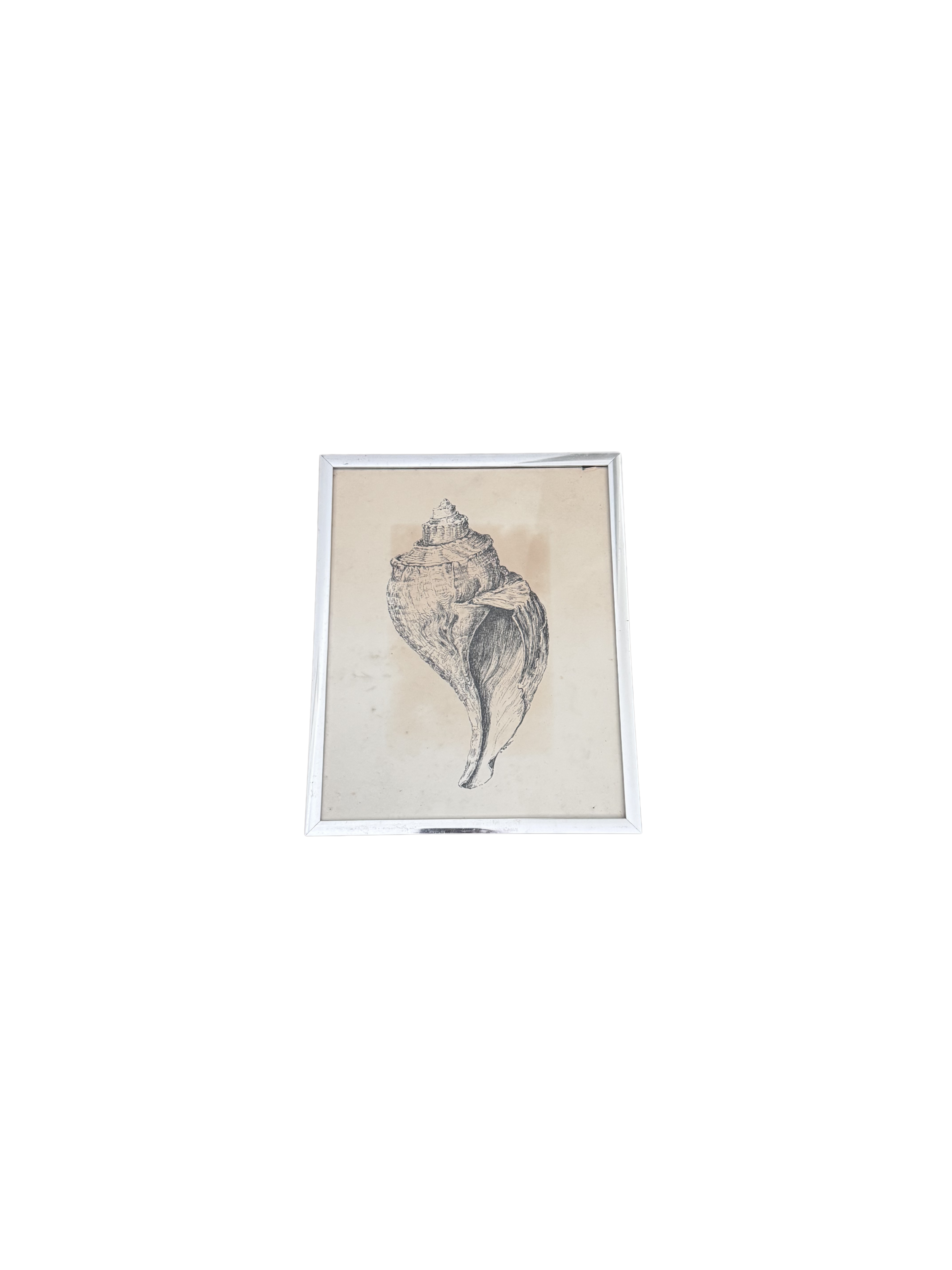 A. Norton Shell Print